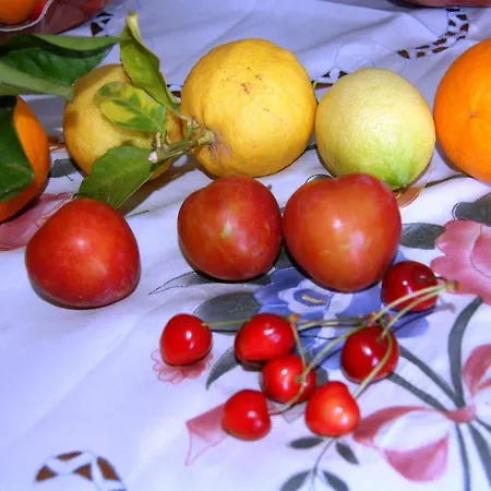 Appartamento Profumi E Colori Corso Dei Mille